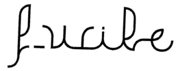 F-WIBE trademark