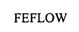 FEFLOW trademark