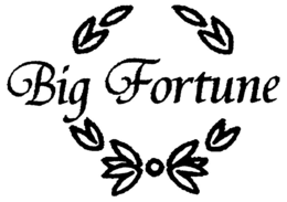 BIG FORTUNE trademark