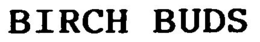 BIRCH BUDS trademark