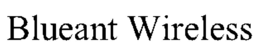 BLUEANT WIRELESS trademark