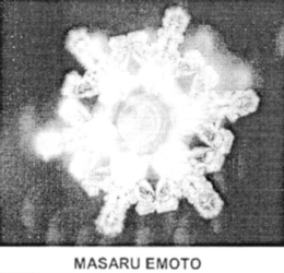 MASARU EMOTO trademark