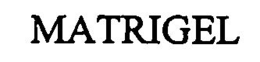 MATRIGEL trademark