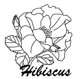 HIBISCUS trademark