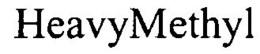 HEAVYMETHYL trademark