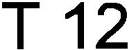 T 12 trademark