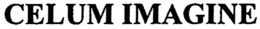 CELUM IMAGINE trademark