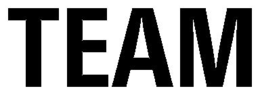 TEAM trademark