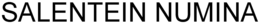 SALENTEIN NUMINA trademark