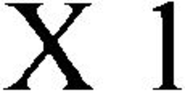 X 1 trademark