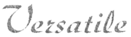 VERSATILE trademark