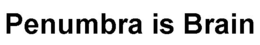 PENUMBRA IS BRAIN trademark