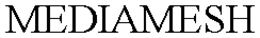 MEDIAMESH trademark