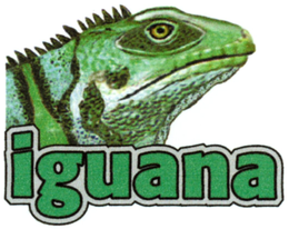 IGUANA trademark