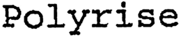 POLYRISE trademark