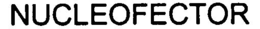 NUCLEOFECTOR trademark