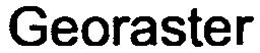 GEORASTER trademark