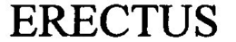 ERECTUS trademark