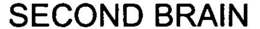 SECOND BRAIN trademark
