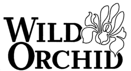 WILD ORCHID trademark