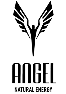 ANGEL NATURAL ENERGY trademark