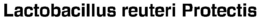 LACTOBACILLUS REUTERI PROTECTIS trademark