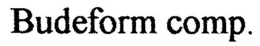BUDEFORM COMP. trademark