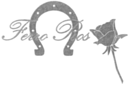 FERRO ROS trademark