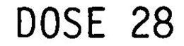 DOSE 28 trademark