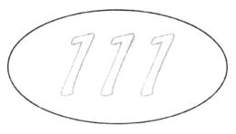 111 trademark