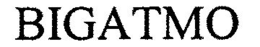 BIGATMO trademark