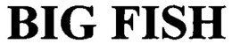 BIG FISH trademark