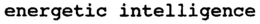ENERGETIC INTELLIGENCE trademark