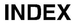 INDEX trademark