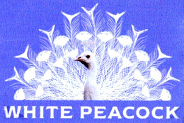 WHITE PEACOCK trademark