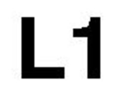 L1 trademark