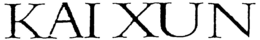 KAI XUN trademark
