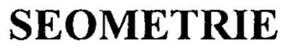 SEOMETRIE trademark