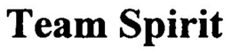 TEAM SPIRIT trademark