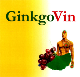 GINKGOVIN trademark