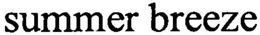 SUMMER BREEZE trademark