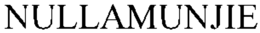 NULLAMUNJIE trademark