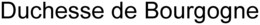 DUCHESSE DE BOURGOGNE trademark