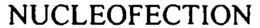 NUCLEOFECTION trademark