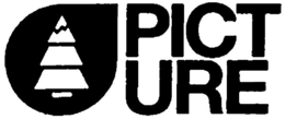 PICTURE trademark