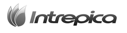 INTREPICA trademark