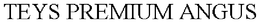 TEYS PREMIUM ANGUS trademark