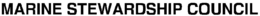 MARINE STEWARDSHIP COUNCIL trademark