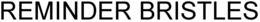 REMINDER BRISTLES trademark