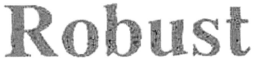 ROBUST trademark